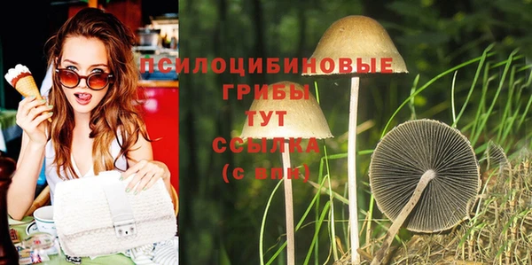 PSILOCYBIN Алексин