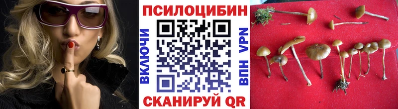 закладки  Макаров  Псилоцибиновые грибы MAGIC MUSHROOMS 