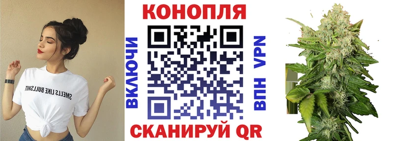 Шишки марихуана Amnesia где купить Макаров